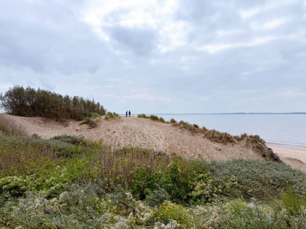Duinen Rockanje