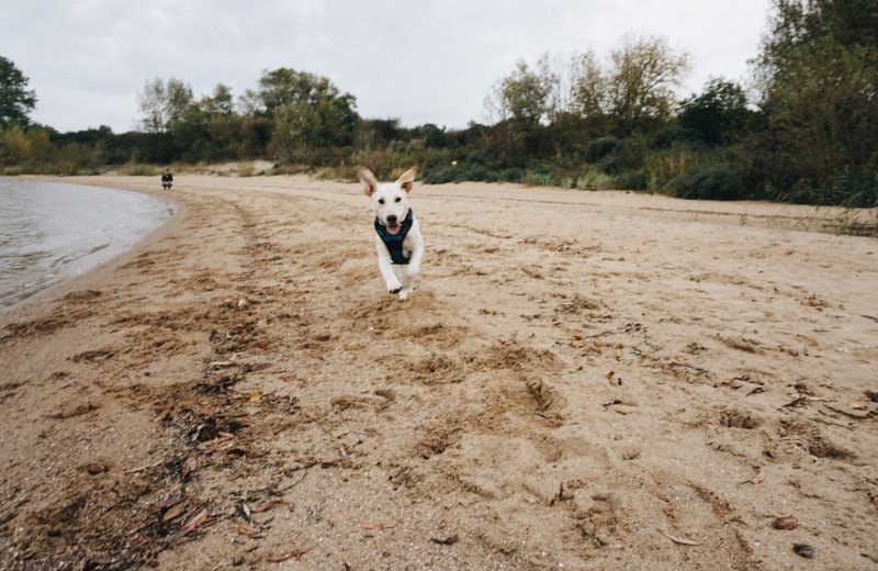 Opvoorneputten nlontdektvp livkrake expeditiekram 18